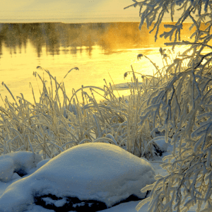 Handgemachte Kerze aus Soja Wachs - Winterlandschaft